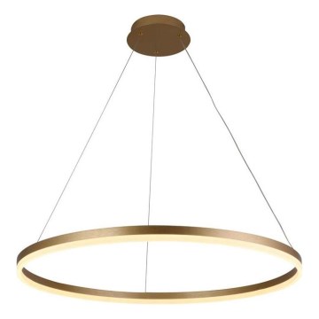Brilagi - CIRCLE dimmable LED cable pendant LED/55W/230V 3000-6500K Ø 80 cm gold + remote control