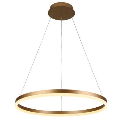 Brilagi - Dimmable LED pendant light suspended on cable CIRCLE LED/42W/230V 3000-6500K dia. 60 cm + remote control