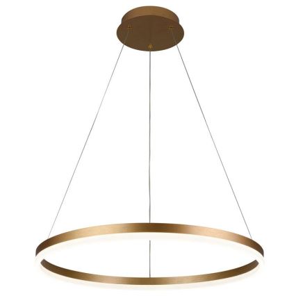 Brilagi - Dimmable LED pendant light suspended on cable CIRCLE LED/42W/230V 3000-6500K dia. 60 cm + remote control