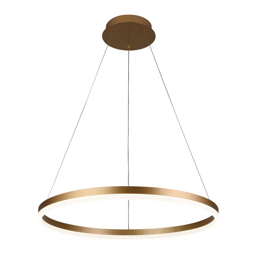 Brilagi - Dimmable LED pendant light suspended on cable CIRCLE LED/42W/230V 3000-6500K dia. 60 cm + remote control