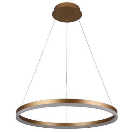 Brilagi - Dimmable LED pendant light suspended on cable CIRCLE LED/42W/230V 3000-6500K dia. 60 cm + remote control