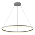 Brilagi - CIRCLE LED Dimmable Cable Pendant Light, 55W, 230V, 3000–6500K, Ø 80 cm, Silver + Remote Control