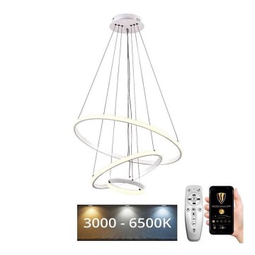 Brilagi - CIRCLE LED Dimmable Cable-Suspended Pendant Light LED/90W/230V 3000-6500K Ø 60 cm + Remote Control