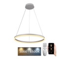 Brilagi - CIRCLE LED dimmable pendant light on cable LED/42W/230V 3000-6500K Ø 60 cm + remote control