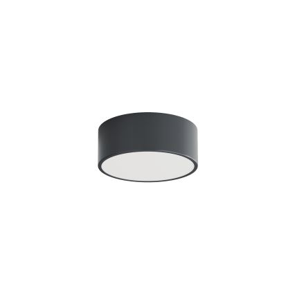 BRILAGI - Bathroom ceiling light CLARE 1xE27/24W/230V Ø 20 cm anthracite IP54