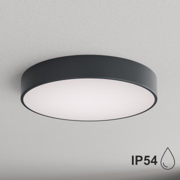 BRILAGI - CLARE Bathroom ceiling light 4xE27/24W/230V Ø 50 cm anthracite IP54