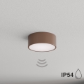 BRILAGI - CLARE bathroom ceiling light with motion and dusk sensor, 1xE27/24W/230V, Ø 20 cm, brown, IP54