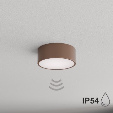 BRILAGI - CLARE bathroom ceiling light with motion and dusk sensor, 1xE27/24W/230V, Ø 20 cm, brown, IP54