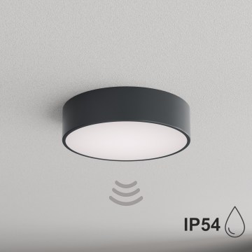 BRILAGI - CLARE bathroom ceiling light with motion and dusk sensor, 2x E27/24W/230V, diam. 30 cm, anthracite, IP54