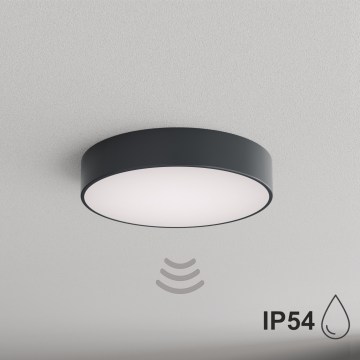 BRILAGI - CLARE bathroom ceiling light with motion and dusk sensor, 3x E27 / 24W / 230V, Ø 40 cm, anthracite, IP54