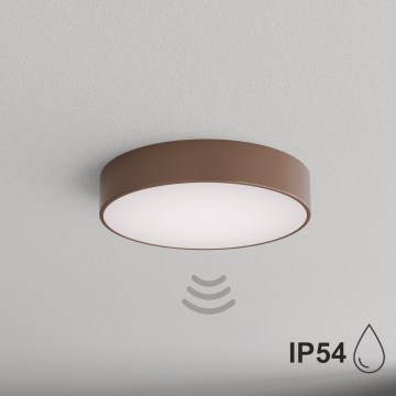 BRILAGI - CLARE Bathroom ceiling light with motion and dusk sensor, 3×E27/24W/230V, Ø40 cm, brown, IP54