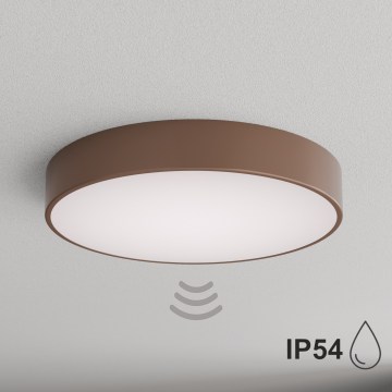 BRILAGI - CLARE bathroom ceiling light with motion and dusk sensor 4xE27/24W/230V Ø 50 cm brown IP54