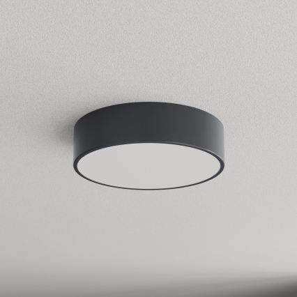BRILAGI - CLARE bathroom ceiling light with motion and dusk sensor, 2x E27/24W/230V, diam. 30 cm, anthracite, IP54