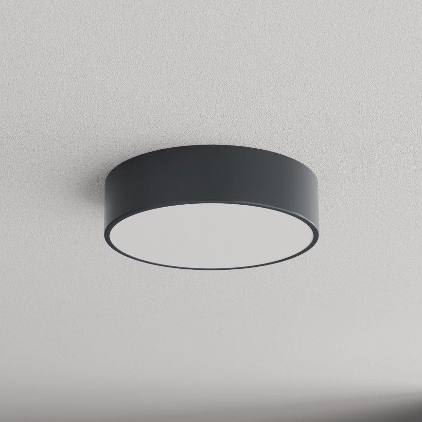 BRILAGI - CLARE bathroom ceiling light with motion and dusk sensor, 2x E27/24W/230V, diam. 30 cm, anthracite, IP54