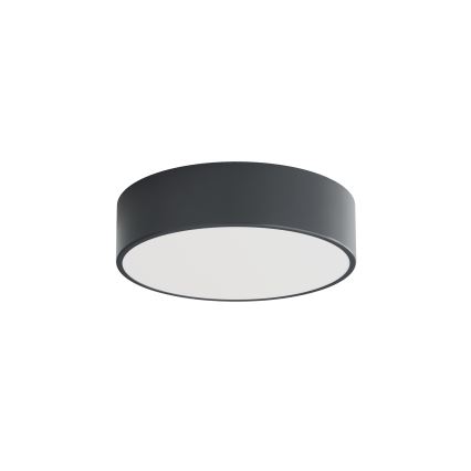 BRILAGI - CLARE bathroom ceiling light with motion and dusk sensor, 2x E27/24W/230V, diam. 30 cm, anthracite, IP54