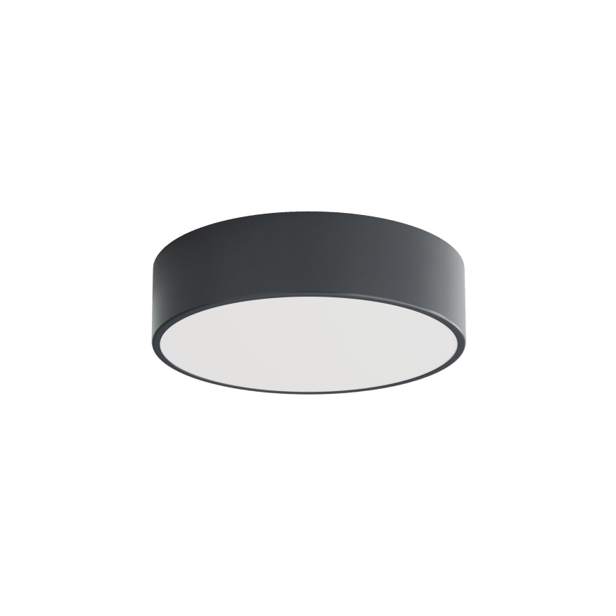 BRILAGI - CLARE bathroom ceiling light with motion and dusk sensor, 2x E27/24W/230V, diam. 30 cm, anthracite, IP54
