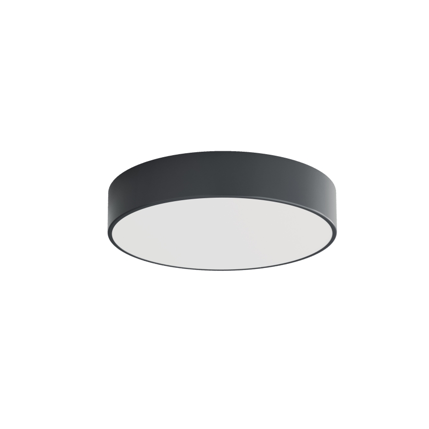 BRILAGI - CLARE bathroom ceiling light with motion and dusk sensor, 3x E27 / 24W / 230V, Ø 40 cm, anthracite, IP54