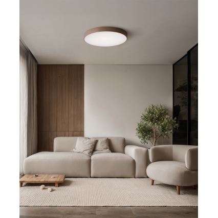 Brilagi - CLARE Ceiling Light, 4xE27/24W/230V, Ø 50 cm, Brown