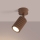 Brilagi - CRESTO Spotlight 1xGU10/10W/230V, Brown