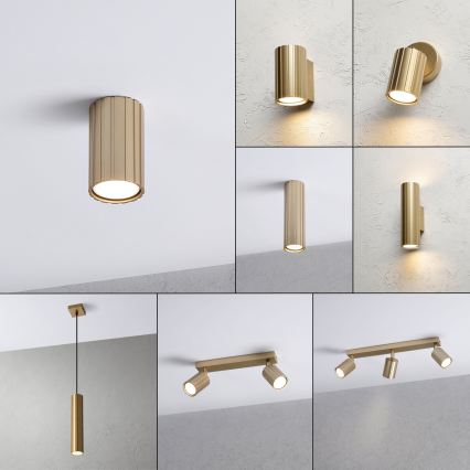 Brilagi - CRISPINA Spotlight 1xGU10/10W/230V 10 cm Gold