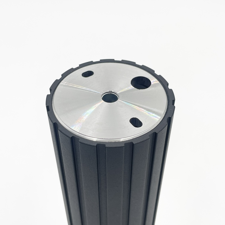 Brilagi - CRISPINA Spotlight 1xGU10/10W/230V 20 cm Black