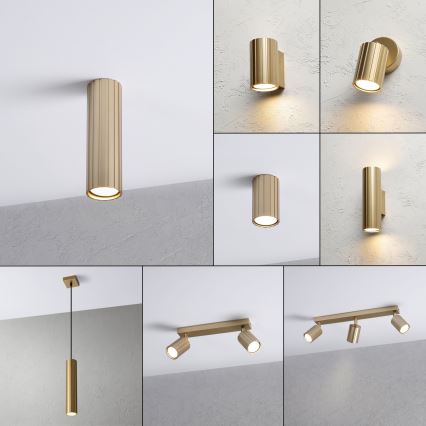 Brilagi - CRISPINA Spotlight 1xGU10/10W/230V 20 cm Gold