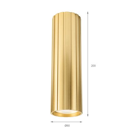 Brilagi - CRISPINA Spotlight 1xGU10/10W/230V 20 cm Gold
