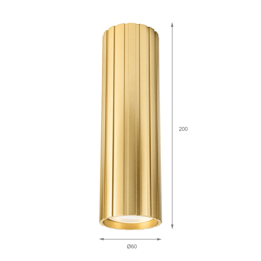 Brilagi - CRISPINA Spotlight 1xGU10/10W/230V 20 cm Gold