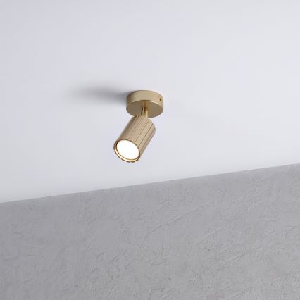 Brilagi - CRISPINA Spotlight 1xGU10/10W/230V Gold