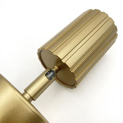 Brilagi - CRISPINA Spotlight 1xGU10/10W/230V Gold