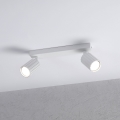 Brilagi - CRISPINA spotlight 2xGU10/10W/230V white