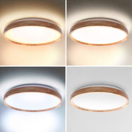 Brilagi - ALSON LED Dimmable Ceiling Light LED/48W/230V 3000-6500K Oak dia. 39.5 cm + remote control