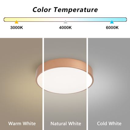 BRILAGI - POOL Dimmable LED Ceiling Light 36W/230V 3000-6000K Ø 30 cm Bronze + Remote Control