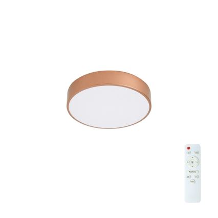 BRILAGI - POOL Dimmable LED Ceiling Light 36W/230V 3000-6000K Ø 30 cm Bronze + Remote Control