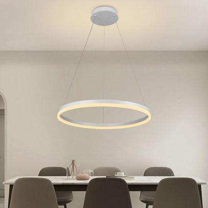 Brilagi - CIRCLE LED dimmable pendant light on cable LED/42W/230V 3000-6500K Ø 60 cm + remote control