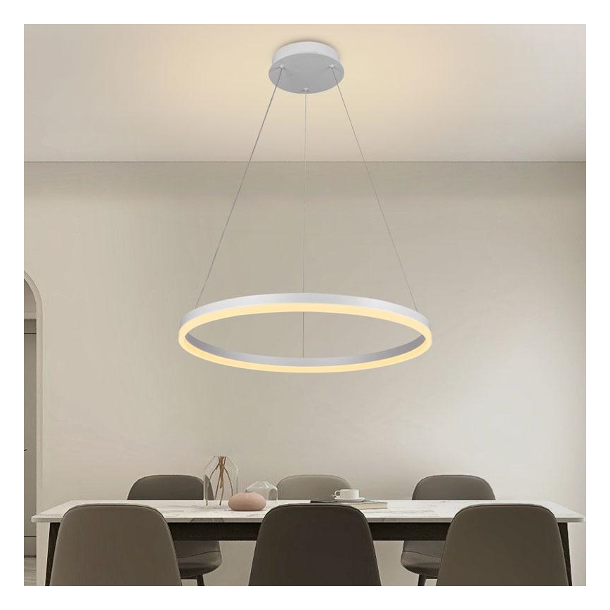 Brilagi - CIRCLE LED dimmable pendant light on cable LED/42W/230V 3000-6500K Ø 60 cm + remote control