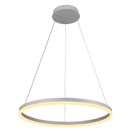 Brilagi - CIRCLE LED dimmable pendant light on cable LED/42W/230V 3000-6500K Ø 60 cm + remote control