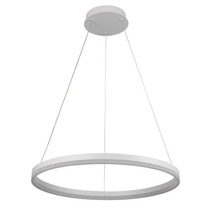 Brilagi - CIRCLE LED dimmable pendant light on cable LED/42W/230V 3000-6500K Ø 60 cm + remote control