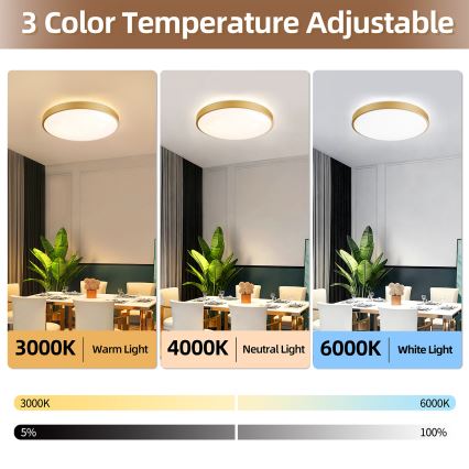 Brilagi - Dimmable LED Ceiling Light GLASS POOL DOUBLE LED/60W/230V 3000-6000K 50 cm Gold + Remote Control