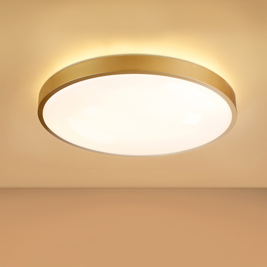 Brilagi - Dimmable LED Ceiling Light GLASS POOL DOUBLE LED/60W/230V 3000-6000K 50 cm Gold + Remote Control