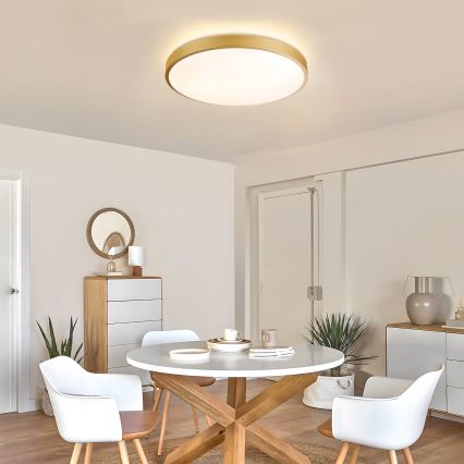 Brilagi - Dimmable LED Ceiling Light GLASS POOL DOUBLE LED/60W/230V 3000-6000K 50 cm Gold + Remote Control