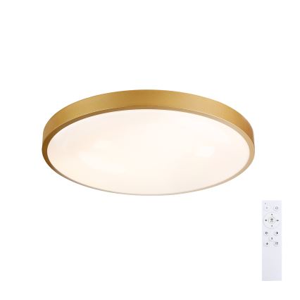 Brilagi - Dimmable LED Ceiling Light GLASS POOL DOUBLE LED/60W/230V 3000-6000K 50 cm Gold + Remote Control