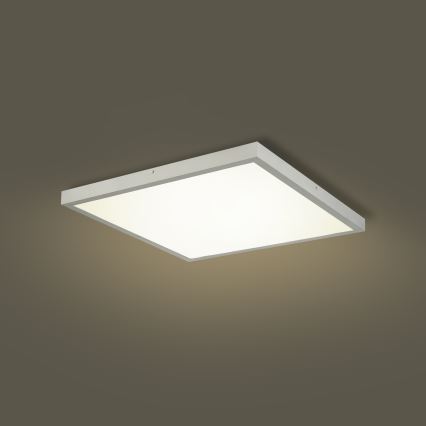 Brilagi - Dimmable Bathroom Ceiling Light FRAME SMART LED/50W/230V 60x60 cm 3000-6000K IP44 Silver + Remote Control