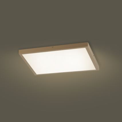 Brilagi - FRAME SMART Dimmable LED Bathroom Ceiling Light 50W/230V 60x60 cm 3000-6000K IP44 Beige + Remote Control