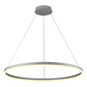 Brilagi - Dimmable LED Cable Pendant CIRCLE LED/55W/230V 3000-6500K Ø 80 cm Silver + Remote Control