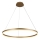 Brilagi - Dimmable LED Cable Pendant Light CIRCLE LED/55W/230V 3000-6500K Ø 80 cm Gold + Remote Control