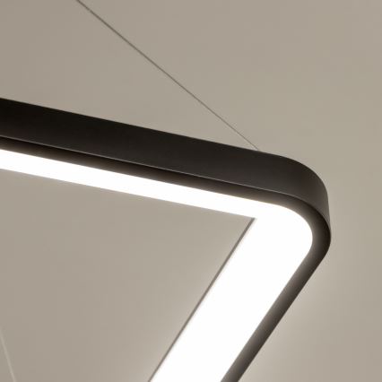 Brilagi - LED Dimmable Pendant Light on Cable FALCON SLIM LED/50W/230V 3000-6500K 50x50 cm Black + Remote Control