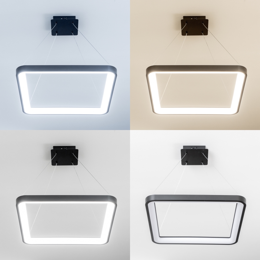 Brilagi - LED Dimmable Pendant Light on Cable FALCON SLIM LED/50W/230V 3000-6500K 50x50 cm Black + Remote Control