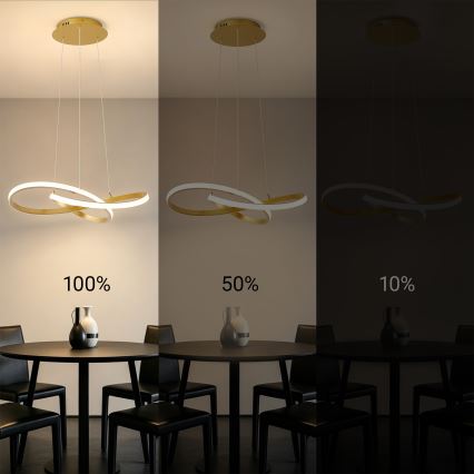 BRILAGI - INFINITY LED Dimmable Cable Pendant Light, 55W/230V, 3000-6000K, 50x50 cm, Gold + Remote Control