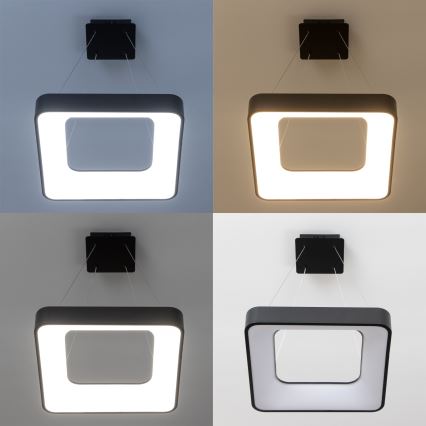 Brilagi - LED Dimmable Cable-Suspended Chandelier FALCON II LED/80W/230V 3000-6500K 40x40 cm Black + Remote Control